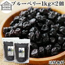 ブルーベリー 1kg×2個 ドライ ドライフルーツ ブルー ベリー 乾燥 業務用 カルチベイト カルティベイト サプリ ルテイン 着色料 保存料 香料 不使用 ...
