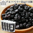 ブルーベリー 1kg×4個 ドライ ドライフルーツ ブルー ベリー 乾燥 業務用 カルチベイト カルティベイト サプリ ルテイン 着色料 保存料 香料 不使用 ...