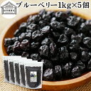 ブルーベリー 1kg×5個 ドライ ドライフルーツ ブルー ベリー 乾燥 業務用 カルチベイト カルティベイト サプリ ルテイン 着色料 保存料 香料 不使用 ...