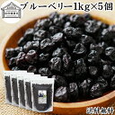 ブルーベリー 1kg×5個 ドライ ドライフルーツ ブルー ベリー 乾燥 業務用 カルチベイト カルティベイト サプリ ルテイン 着色料 保存料 香料 不使用 ...