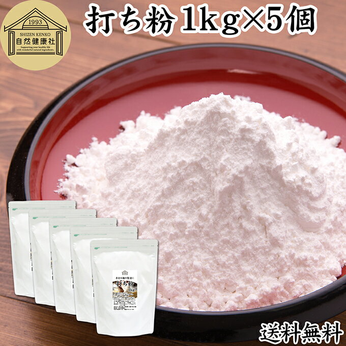 打ち粉 1kg×5個 打粉 手粉 切り粉 切粉 100% 業務用 大容量 保存料 無添加 そば打ち 麺打ち サゴでん粉 サゴ澱粉 さごやし 粉末 サゴヤシ粉 はな粉 製菓 製パン お菓子 材料 グルテンフリー 麺用 手打ち麺 蕎麦 手打ち うどん用 そば用 ヌードル パスタ 中華麺用 パウダー