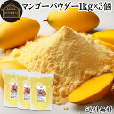 マンゴーパウダー 1kg×3個 マンゴーピューレ 砂糖不使用 業務用 フルーツパウダー 製菓用 菓子 材料 製菓材料 お菓子作り 洋菓子 パン作り パン材料 製...