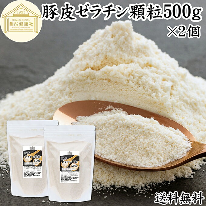  γ 500g2  ѥ ʴ 100  ͳ ʴ ̳   ¸ ̵ź 󥵥ץ  ...