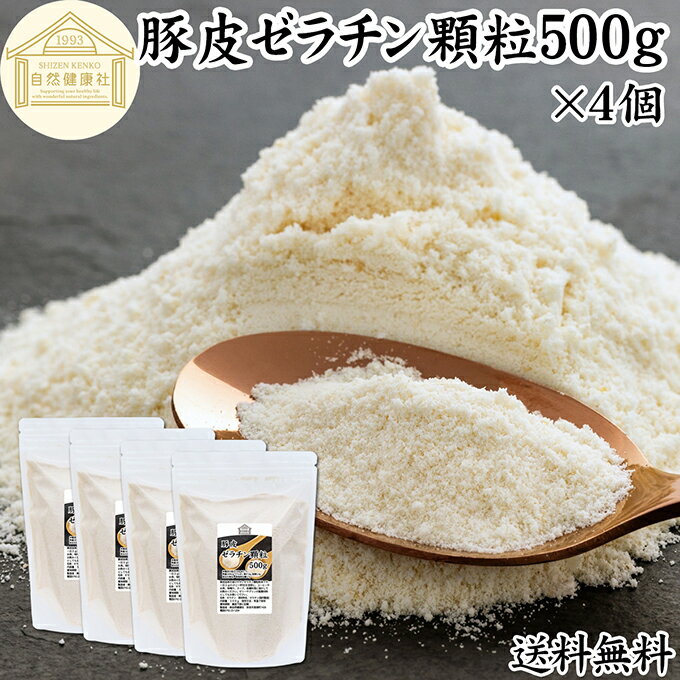  γ 500g4  ѥ ʴ 100  ͳ ʴ ̳   ¸ ̵ź 󥵥ץ  ...