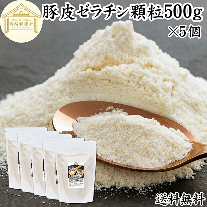  γ 500g5  ѥ ʴ 100  ͳ ʴ ̳   ¸ ̵ź 󥵥ץ  ...