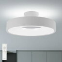 【2025モデル登場】シーリングライト LED ライト 8畳 30W 常夜灯モード 天井 ledライト リモコン付 12段階 調光 調色 ledシーリングライト 消灯タイマー 玄関部屋 寝室 和室 電気 照明 簡単取付 省