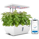 iDOO 水耕栽培セット 水耕栽培キット 野菜栽培セット Wi-Fi アプリ対応 遠隔操作 室内 おしゃれ 家庭菜園 観葉植物 自動散水 プランター 植木鉢 発...