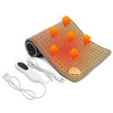 DEWEL ホットマット 電気カーペット 10段階温度調節 30*60cm タイマー機能付き ホットカーペットミニ 速暖 丸洗い可能 過熱保護 腹/首/背中/肩掛け/生理 暖房器具 省エネ 防寒対策 軽量便利 在宅