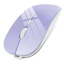 マウス Bluetooth 充電式 ワイヤレスマウス 薄型 無線マウス 静音 2.4GHz 3DPIモード 光学式 高精度 持ち運び便利 Mac/Windows...