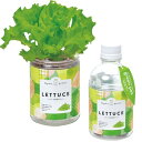 聖新陶芸 通年 家庭菜園 簡単 栽培キット レタス 野菜 栽培セット (自由研究/食育) 鉢の径約7cm グリーンペット 母の日 プレゼント 誕生日 GD-10...