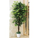 フェイクグリーン ベンジャミングリーン 180cm 1台 【 観葉植物 フェイクグリーン 大型 人工観葉植物 人工樹木 ストア・エキスプレス 】 61-752-...