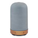 【日本初上陸】 Earnest Living アロマディフューザー 100ml ガラス製 加湿器 濃いグレー 超音波式 切タイマー機能 7色間接照明 4段時間設...