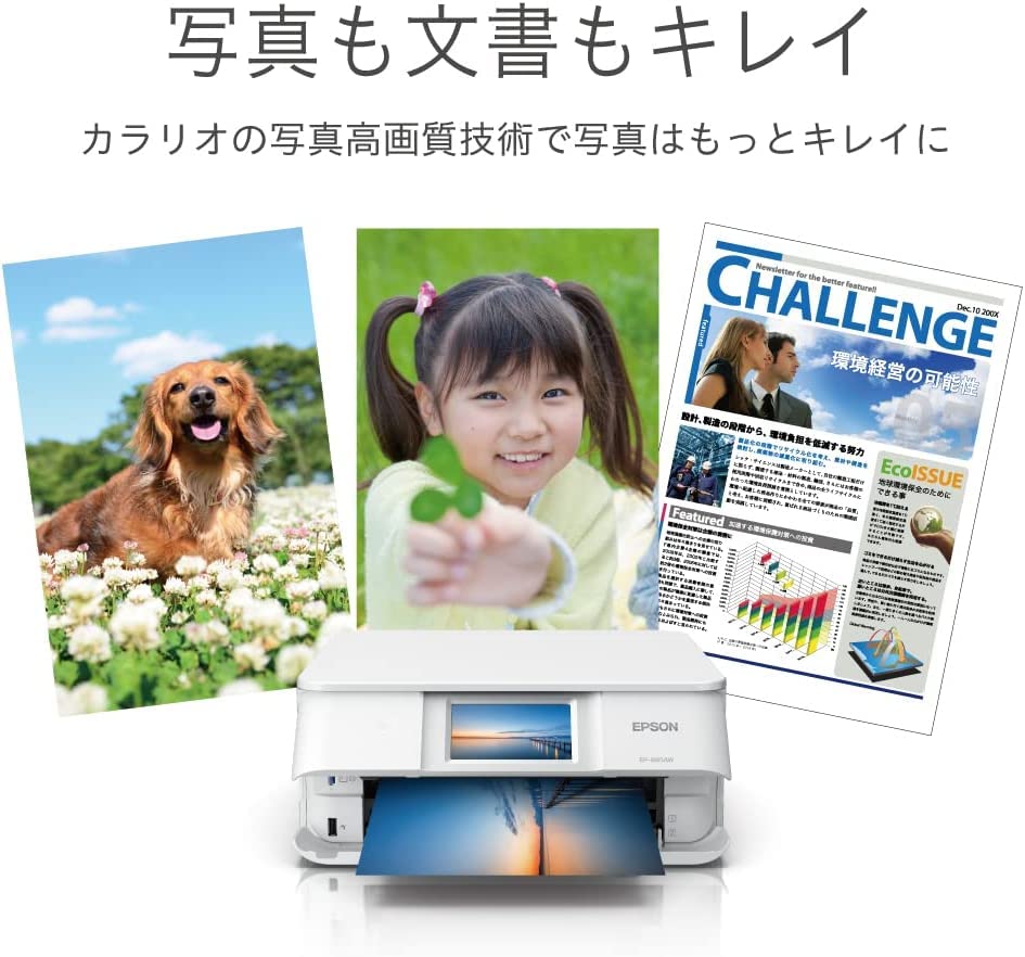 エプソンドットインパクトプリンター 80桁 複写枚数6枚 VP-D800 1台[21]
