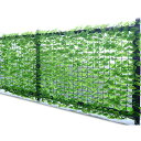 山善(YAMAZEN) グリーンフェンス 約100×200cm 2台セット ライトグリーン/ソフトネット