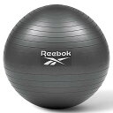 Reebok(リーボック) バランスボール 55cm トレーニング バランス ボール フィットネスボール ジムボール アンチバースト ハンドポンプ付き
