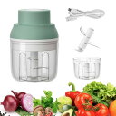 Coollooda 電動ガーリックチョッパー 電動ミニニンニクチョッパー 250ML USB充電式コードレス 野菜 みじん切り 野菜チョッパー ガーリックグライ...
