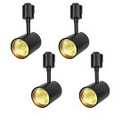 ライティングレール用スポットライト ダクトレールライト セット 電球色 10W 内蔵式LED照明 角度調整 簡単取付 屋内照明/商業施設/店舗展示/商品展示照明 4個