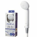 東レ トレビーノ 浄水シャワー ヘッド (塩素除去/30%節水) 日本アトピー協会推薦品 浄水/原水切り替え 日本製 RS53 トレシャワー