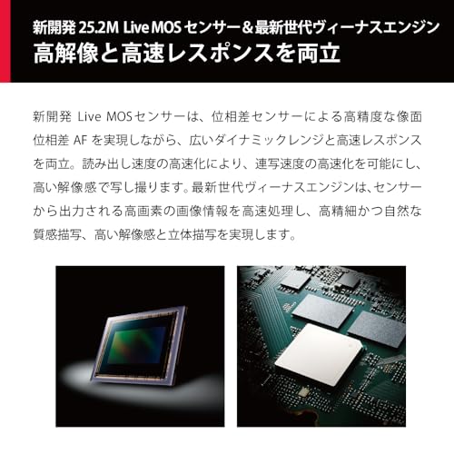 パナソニック(Panasonic) ミラーレス一眼カメラ ルミックス 像面位相差AF搭載 高速連写性能 手ブレ補正強化 標準ズームレンズキット ブラック DC-G9M2L