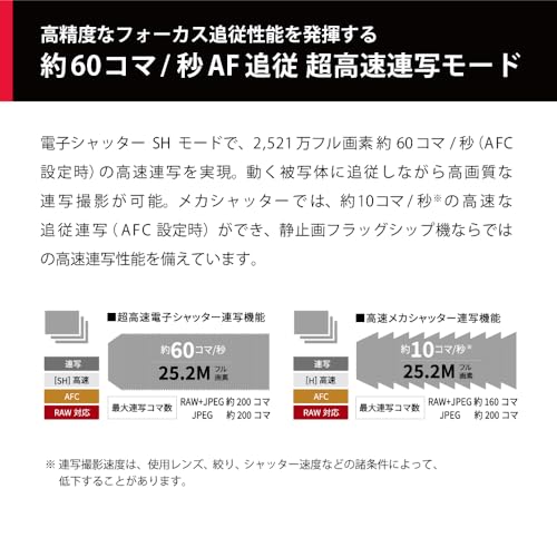 パナソニック(Panasonic) ミラーレス一眼カメラ ルミックス 像面位相差AF搭載 高速連写性能 手ブレ補正強化 標準ズームレンズキット ブラック DC-G9M2L