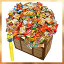 駄菓子詰め合わせお楽しみ50種55点セット+おまけおもちゃ付き お誕生日 イベントやパーティーにもどうぞ。子どもたちがデコって遊べるわくわくお菓子セット ボックス 【駄菓子屋あひるS