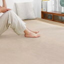 SOMANT ラグ 1畳 カーペット 夏用ラグマット 絨毯 滑り止め付き 防音 厚手 防ダニ 防臭 素肌にやさしい 北欧風 おしゃれ 抗菌 床保護 転倒を防ぐ 床暖房対応 ホットカーペット対応 モカ色100×14