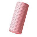 Aristal ストレッチポール フォームローラー トレーニング ヨガポール ピラティス フィットネス 30cm (ピンク)