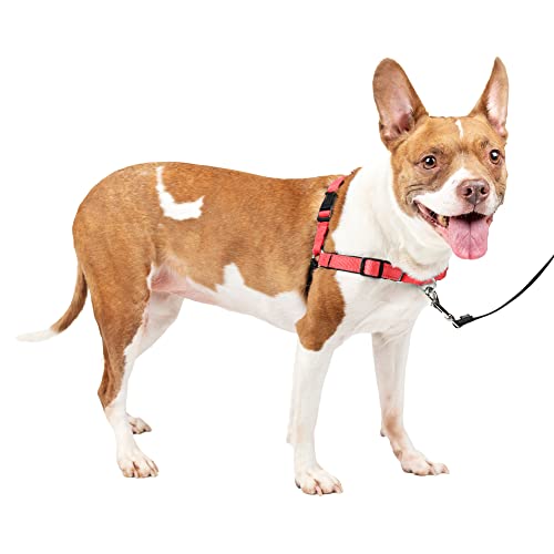 PetSafe（ペットセーフ） 犬用 引っ張り防止ハーネス デラックスイージーウォークハーネス ローズレッド×ブラック M