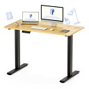 FLEXISPOT 電動式スタンディングデスク(幅120×奥行60,メモリー機能付き) 昇降デスク 高さ調節デスク パソコンデスク 人間工学 ゲーミングデスク EF1 セット (足(黒)+天板(メイプル), 120*60)(3)