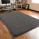 システムK ラグ カーペット 選べるカラー【極厚2.5cm】高反発ウレタン 130×185cm 子供も安心の抗菌・防臭・防ダニ ふわふわ肌触り 洗える 滑り止め...