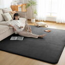Sun Deco ラグ カーペット 低反発 ラグマット 極厚20mm 200x300cm 4畳 オールシーズン 滑り止め付 抗菌 防臭 防ダニ 踏み心地ふわふわ...