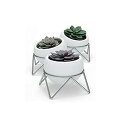 umbra 花器 植木鉢 鉢植え用 プランター スタンド付 インテリアホワイト/ニッケル W14×D14×H11cm ポージー 3個セット 2101319167...
