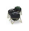 umbra プランター 3個セット アンブラ ポージー Potsy Planter 3pcs Set Black X Gold 植木鉢 鉢 観葉植物 ガーデニン...