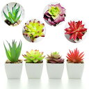 いい生活 4点セット 人工多肉植物 ミニ 植物鉢植え 枯れない 白い正方形の植木鉢 観葉植物 室内 ホーム 庭 装饰 デコレーション (プラスチッ...