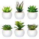 フェイクグリーン 観葉植物 フェイク 人工観葉植物 人工多肉植物 造花 光触媒 ミニ 鉢植え 6個 インテリア ミニ盆栽 フェイクグリーン 卓上 雑貨 小さい ...