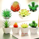 いい生活 4点セット 人工多肉植物 ミニ 植物鉢植え 枯れない 白い正方形の植木鉢 観葉植物 室内 ホーム 庭 装饰 デコレーション (セラミック...