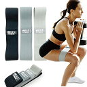 WILLS FITNESS エクササイズバンド トレーニングチューブ ...(4)