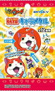 妖怪ウォッチ 妖怪キャラメタル BOX