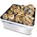 牡蠣 さざえ カンカン焼き セット (冷凍) カキ10個 サザエ5個 ミニ缶入り (牡蠣ナイフ・片手用軍手付き)1斗缶 三重県 鳥羽産 海鮮 バーベキュー セット BBQ
