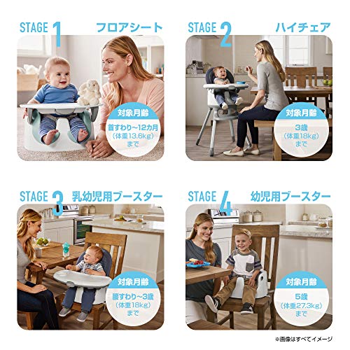 GRACO (グレコ) ハイチェア フロアツーテーブル 首すわり~7歳頃まで 7通りの使い方 ベビーチェア ローチェア (オスカー GR) 2090856