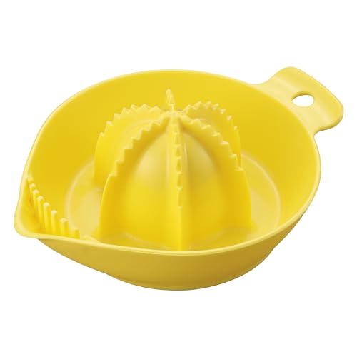  KAI ڤϤ äꤷܤ 졼ץե롼 塼 ܤ KAI KITCHEN  DH8194