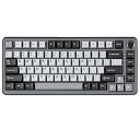 YUNZII RT75 ラピッドトリガー キーボード メカニカル TKL ゲーミング 磁気スイッチ RGB 有線 USB コンパクト 75%配列ノブ付きPBT キーキャップ 調節可能作動 (黒, OUTEMUスイッチ)
