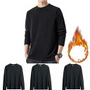 Hisitosa インナーシャツ メンズ 長袖 防寒 肌着 3/5枚組 裏起毛 長袖tシャツ メンズ 厚手 抗菌防臭 クセになる肌触り (JP, アルファベット...