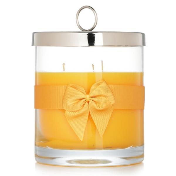 [̵]rigaud scented candle - # tournesol 750g[ŷľ]