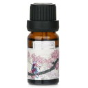 []LhEL&` fragrance oil - # sakura 10ml[yVCO]