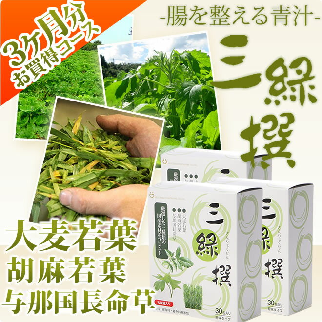 【お買い得3か月分】安心安全の国産【おいしい青汁/三緑撰/大麦若葉・胡麻若葉・与那国長命草】【乳酸菌配合で腸まで届く！】お腹スッキリ 便秘薬が苦手な方にオススメ ダイエットでお悩みの方 （3g×30袋入×3箱） 【HLS_DU】【楽ギフ_包装】