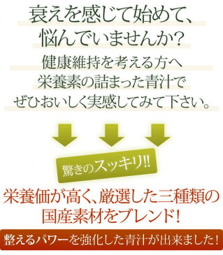 安心安全の国産【おいしい青汁/三緑撰/大麦若葉・胡麻若葉・与那国長命草】【乳酸菌配合で腸まで届く！】お腹スッキリ 便秘薬が苦手な方にオススメ ダイエットでお悩みの方 （3g×30袋入） 粉末タイプ