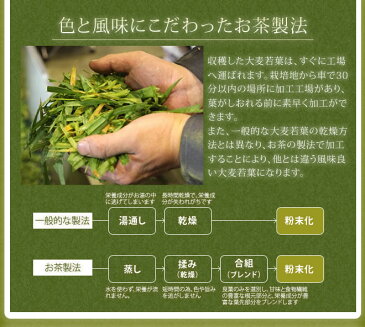 【三緑撰/お試し3日分】安心安全の国産 おいしい青汁/三緑撰/大麦若葉・胡麻若葉・与那国長命草】【乳酸菌配合で腸まで届く！お腹スッキリ ダイエットでお悩みの方 プレゼント【HLS_DU】