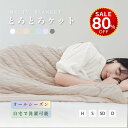 【今だけ80%OFF→最安値1936円】ブランケット 夏用 夏掛け布団 肌布団 冷感 洗える 夏用布団 とろとろケット くしゅふわ レーヨンケット 肌掛け布団 シングル ダブル タオルケット 夏布団 とろーり おしゃれ 抗菌防臭 接触冷感 hmm-t01002