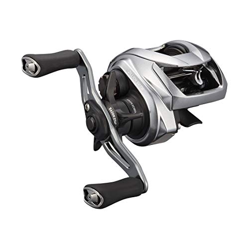 ダイワ(DAIWA) ベイトリール ジリオン SV TW 1000 右ハンドル (2021モデル)